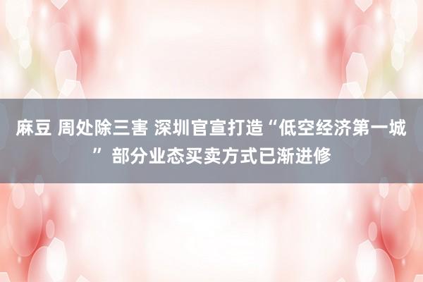 麻豆 周处除三害 深圳官宣打造“低空经济第一城” 部分业态买卖方式已渐进修
