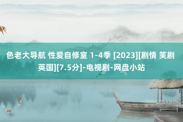 色老大导航 性爱自修室 1-4季 [2023][剧情 笑剧 英国][7.5分]-电视剧-网盘小站