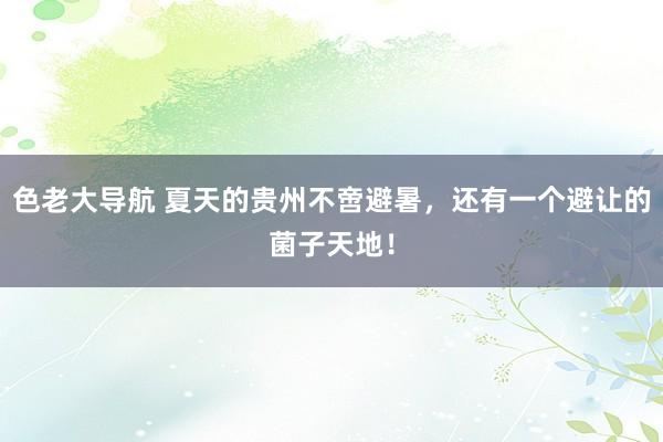 色老大导航 夏天的贵州不啻避暑，还有一个避让的菌子天地！