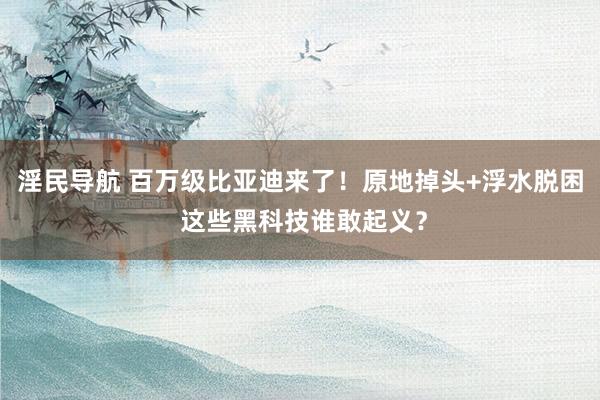 淫民导航 百万级比亚迪来了！原地掉头+浮水脱困 这些黑科技谁敢起义？