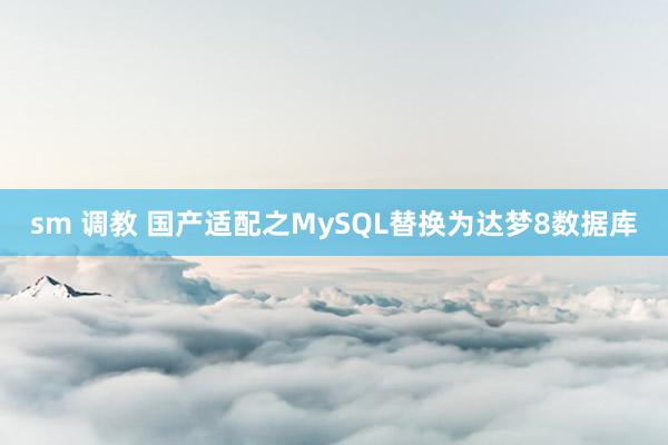 sm 调教 国产适配之MySQL替换为达梦8数据库