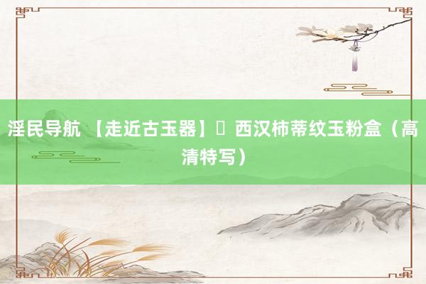 淫民导航 【走近古玉器】​西汉柿蒂纹玉粉盒（高清特写）