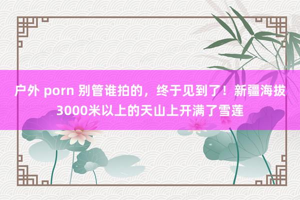 户外 porn 别管谁拍的,终于见到了!新疆海拔3000米以上的天山上开满了雪莲