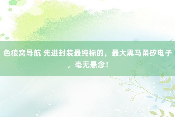 色狼窝导航 先进封装最纯标的，最大黑马甬矽电子，毫无悬念！