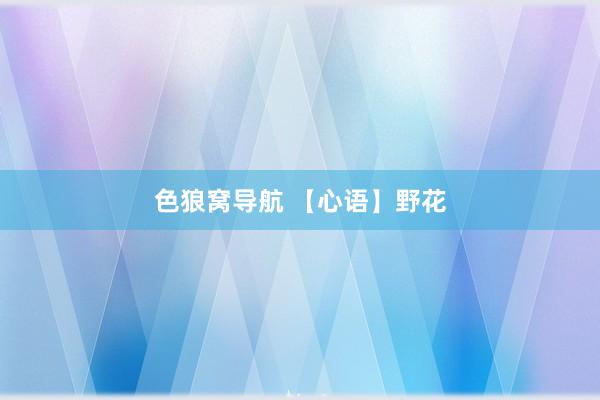色狼窝导航 【心语】野花