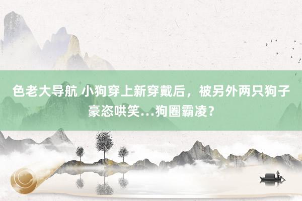 色老大导航 小狗穿上新穿戴后，被另外两只狗子豪恣哄笑…狗圈霸凌？