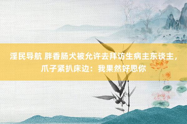 淫民导航 胖香肠犬被允许去拜访生病主东谈主，爪子紧扒床边：我果然好思你