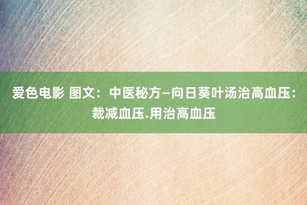 爱色电影 图文：中医秘方—向日葵叶汤治高血压：裁减血压.用治高血压