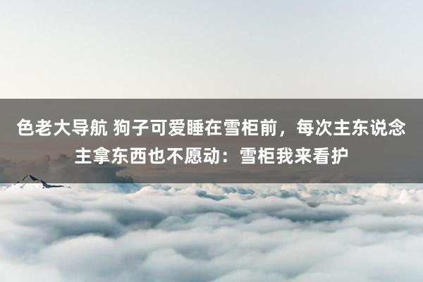 色老大导航 狗子可爱睡在雪柜前，每次主东说念主拿东西也不愿动：雪柜我来看护