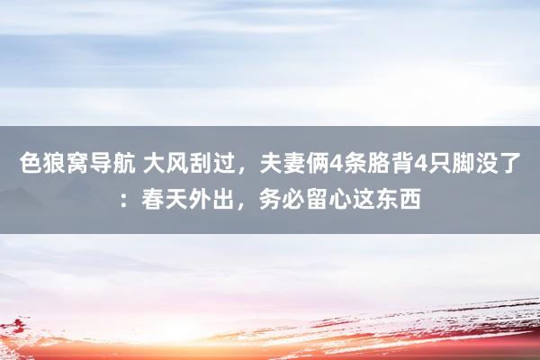 色狼窝导航 大风刮过，夫妻俩4条胳背4只脚没了：春天外出，务必留心这东西
